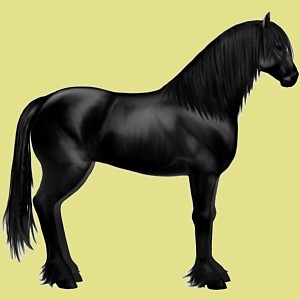Wpis horsestarpl