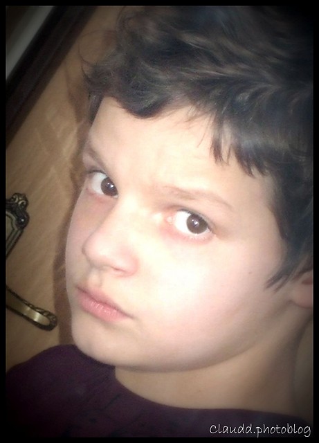 Wpis tweetyxd