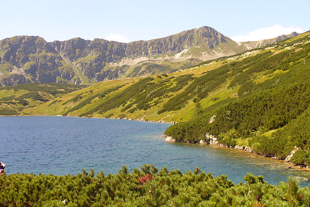 Widoczek 