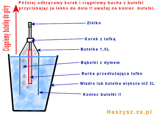 Wpis xkikusiax