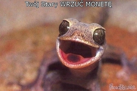 Wrzuc Monet xD