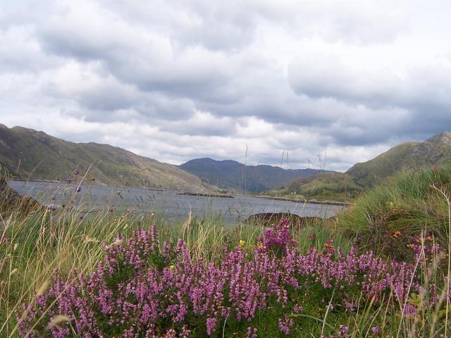 Loch Linnhe