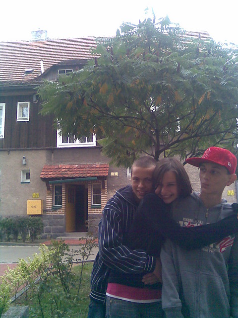 Tytu, kategoria, tre