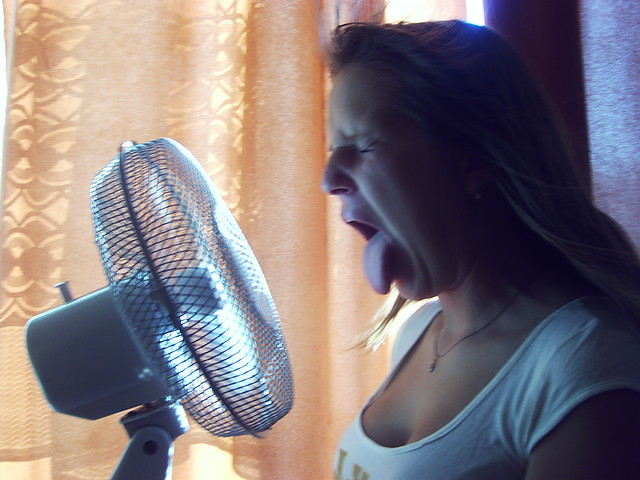 Wpis showmewhatyougot