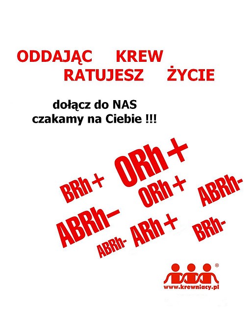 www.krewniacy.pl 