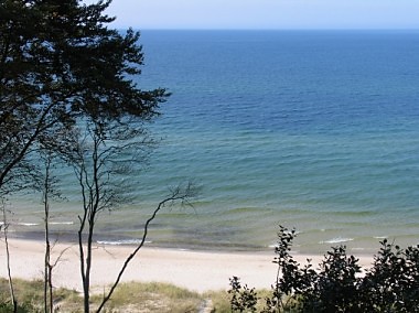 szkoda lata...
