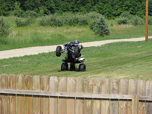 Wpis horse05