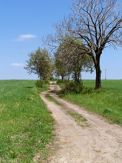 You follow this road...