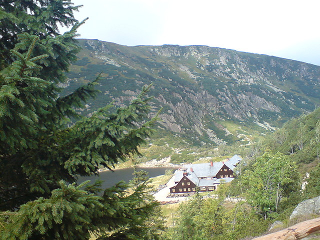 Wpis sylani