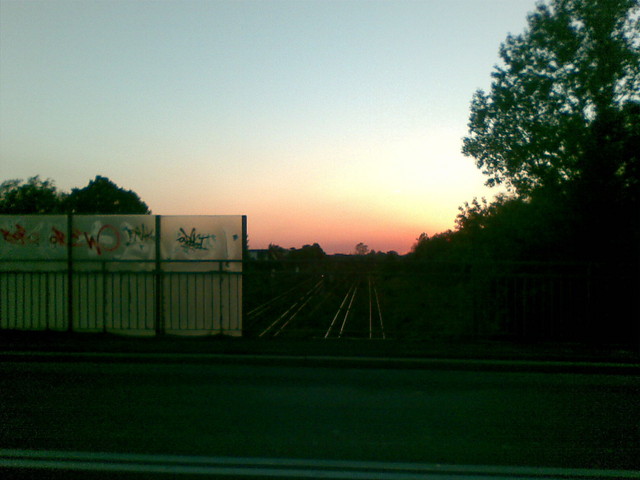 widoczek