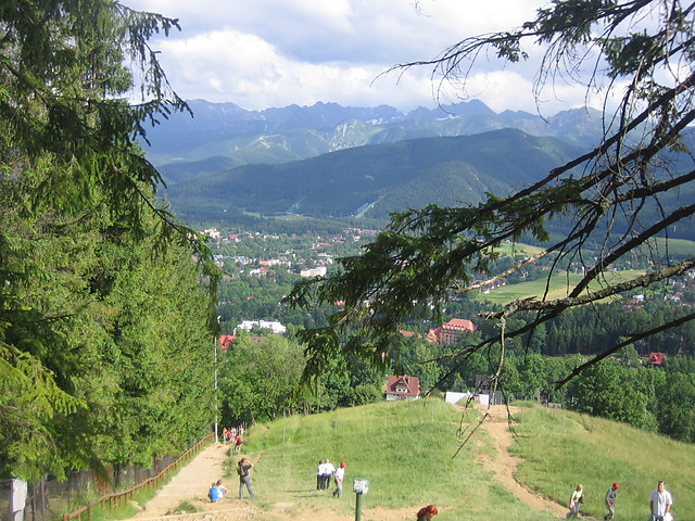 Widoki