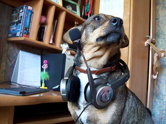 Co si patrzysz  ^^