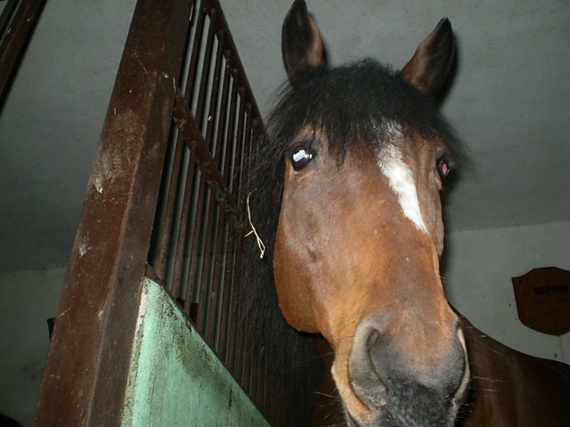Neptun :***