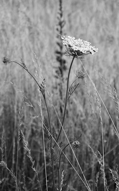 ...nastpne...