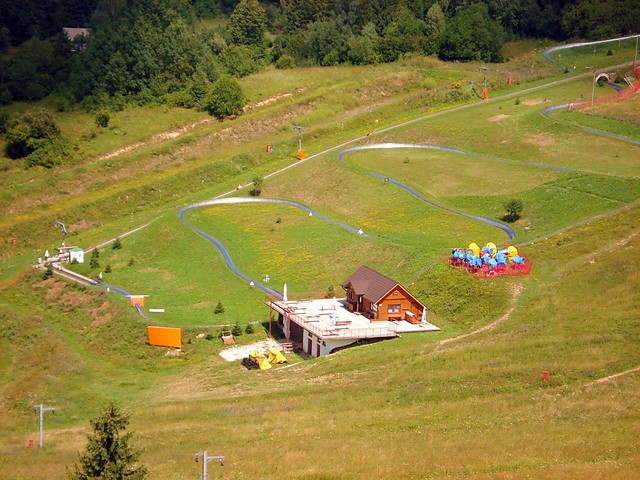 Palenica.