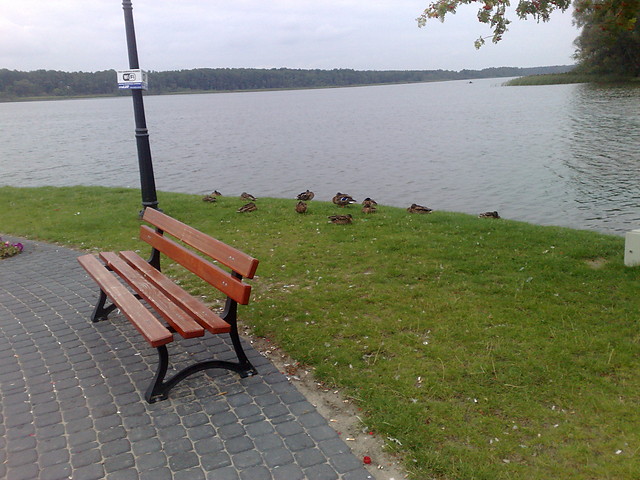 Wpis niemazagrozenia