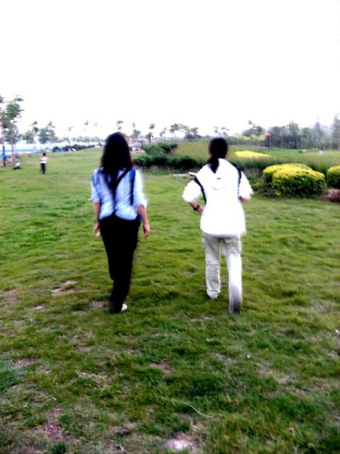 We re going for our dream.!
