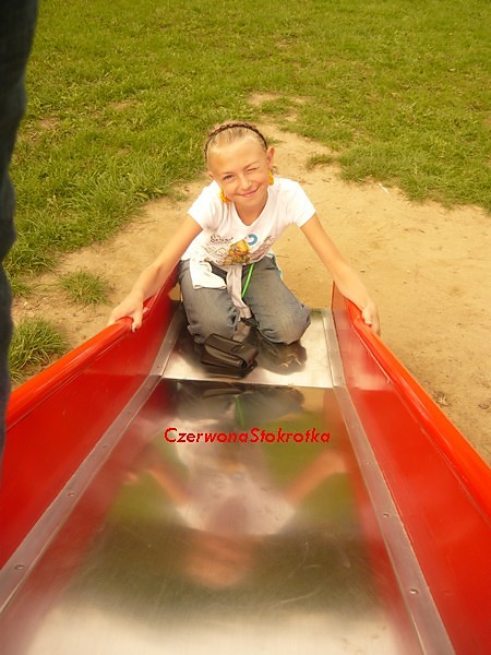 Czerwona stokrotka.