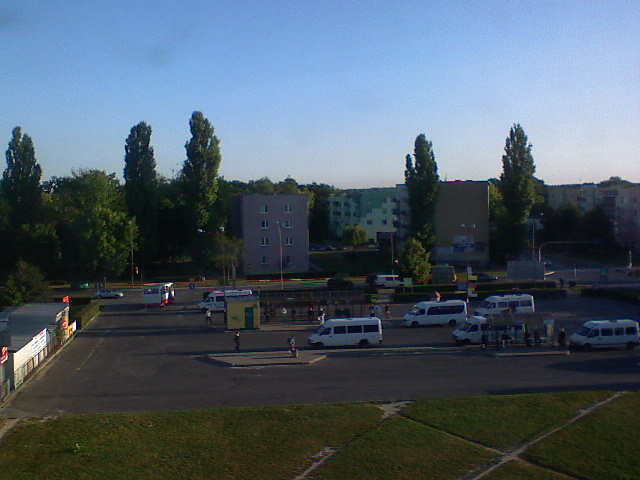 Wpis murhe