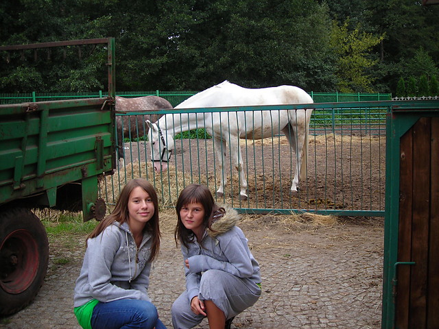 Konik :))