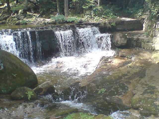 Wpis sylani