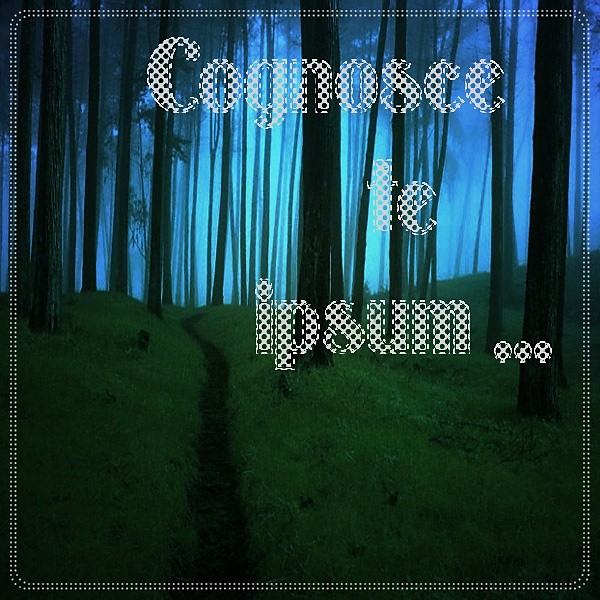 Cognosce te ipsum...