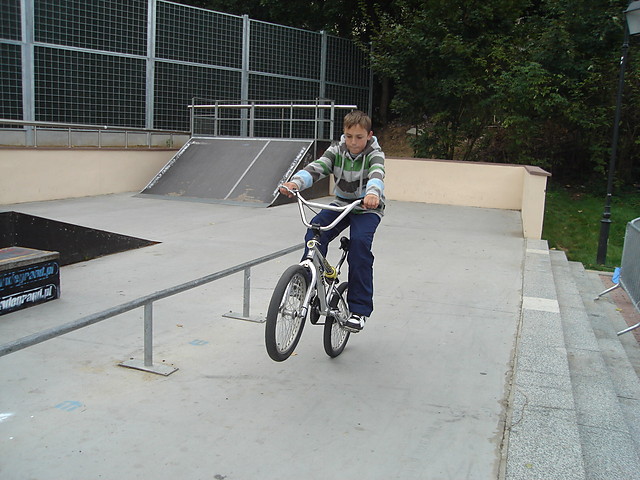 manual 