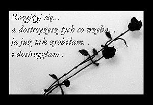 Wpis mojmisiek