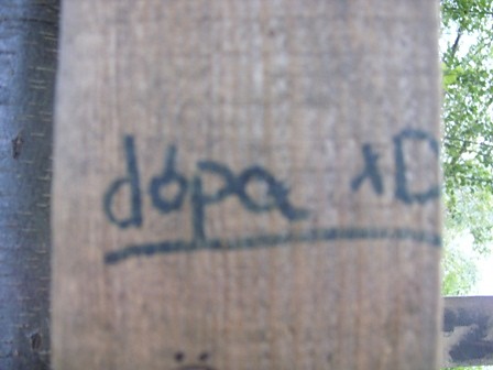 Wpis rosa15