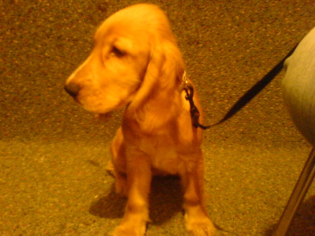 NellkY :)