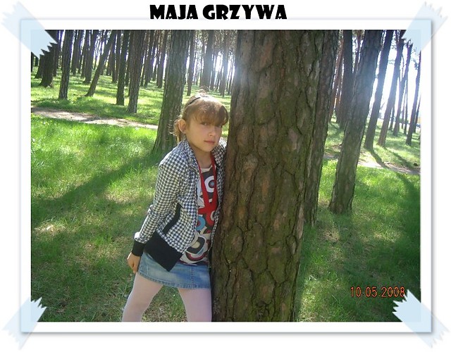 Wpis martidonia