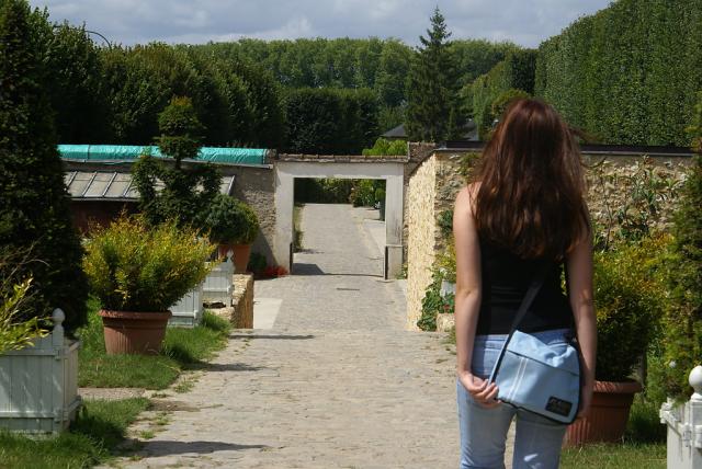 logrdbotaniczniii.