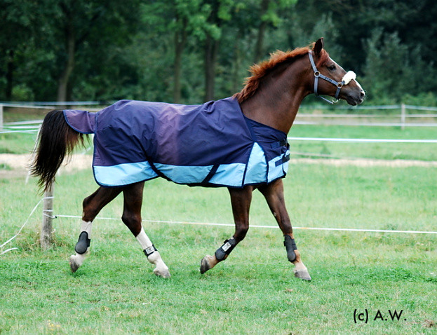 17.09.08r. Ruda by me.