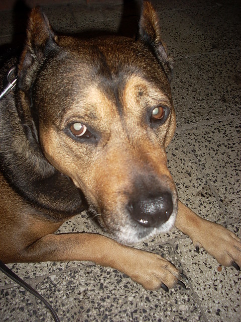 Bertusiek ;*