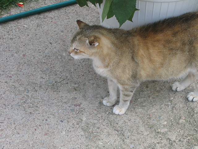 Wpis maciek6d