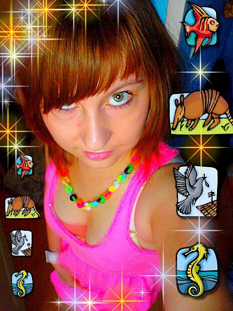 Wpis kingusqa11112xd