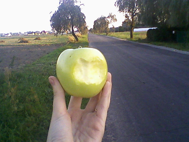 Green Aple ;-)