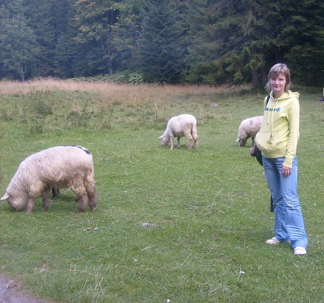 Wpis margdalenka