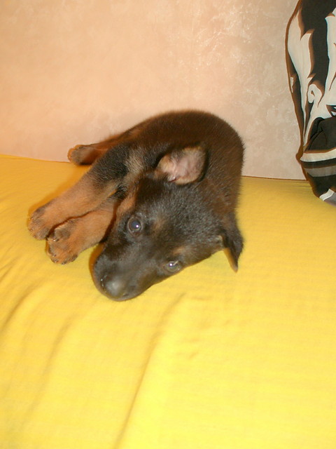 Ares ;**