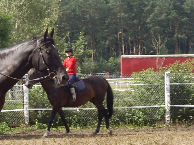 Wpis trzynastka13