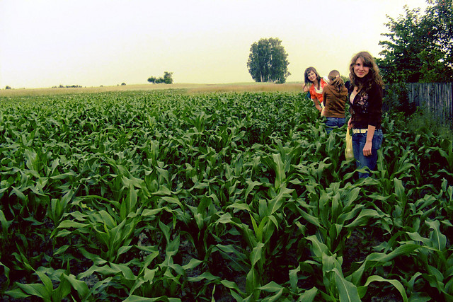 22 czerwiec 2008