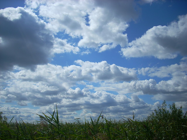 chmurki