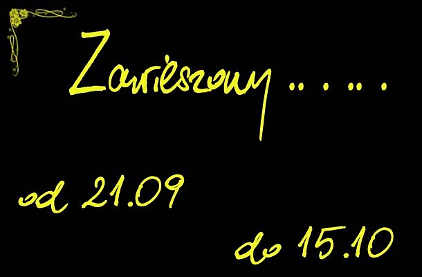 Zawieszamy...