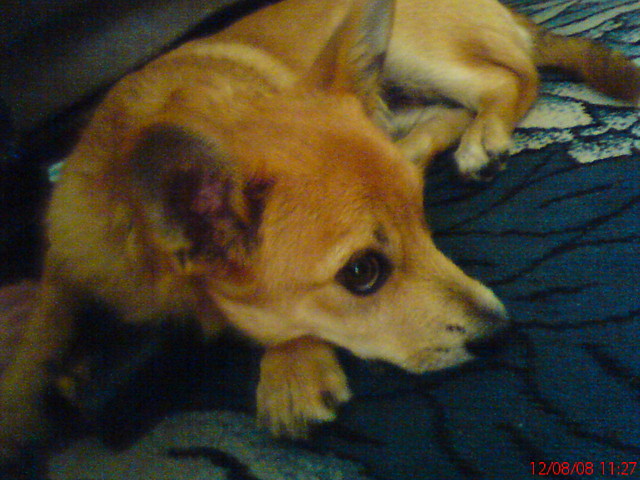 Roni=******
