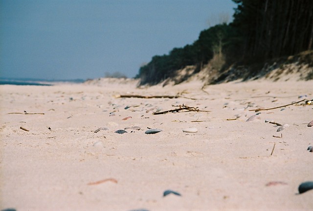 by the Sea