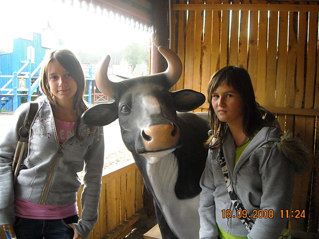muuuu ... !