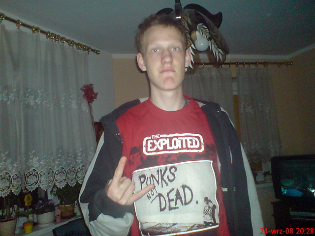 punks not dead