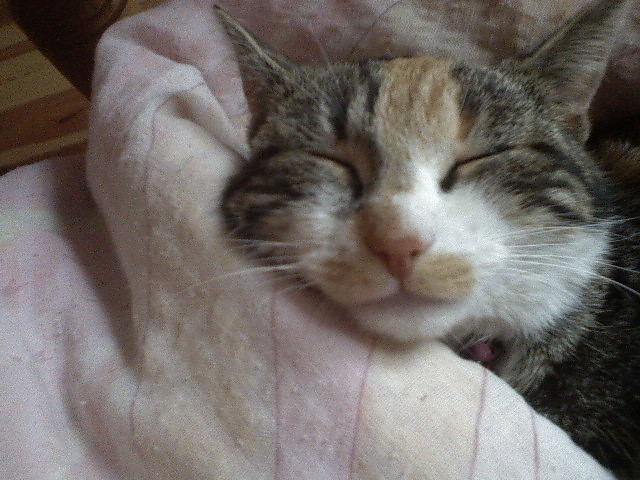 Wpis aaguusiiiaaa