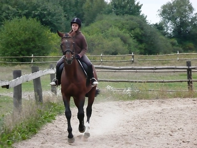 galop:-)