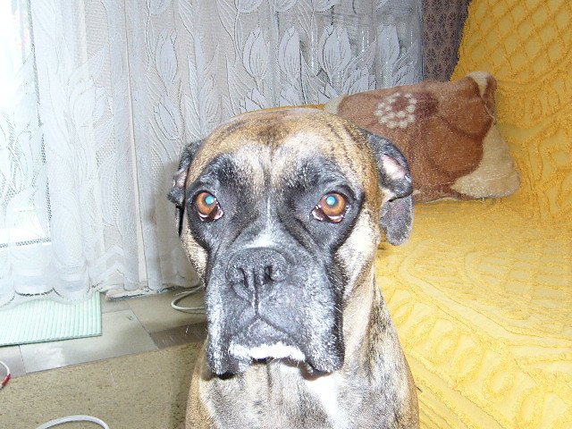 Kolejna fotka ;]